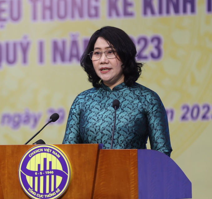 Bà Nguyễn Thị Hương, Tổng cục trưởng Tổng cục Thống kê.