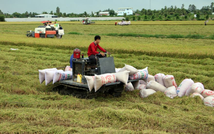 Việc xây dựng Hệ thống nền tảng nông nghiệp số thể hiện sự quan tâm của tỉnh Đồng Tháp tới hiệu quả sản xuất nông nghiệp của người dân trên địa bàn.
