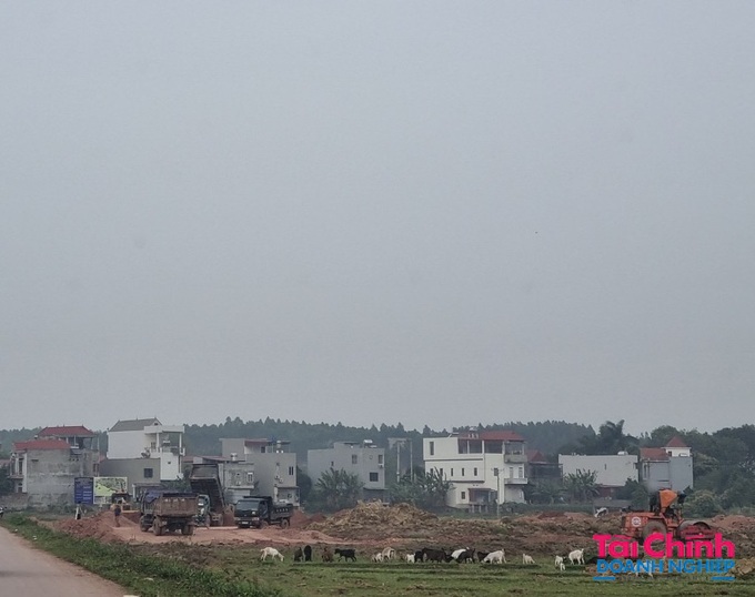 Xe chở đất, xe lu, xe ủi hoạt đồng rậm rộ tại dự án nhưng chính quyền xã Thanh Lâm và huyện Lục Nam không có động thái ngăn chặn, xử lý vi phạm của chủ đầu tư.