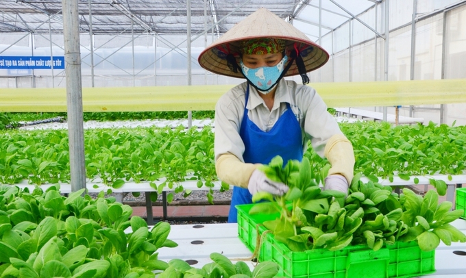 Hà Nội dự kiến dành hơn 1.100 tỷ đồng/năm phát triển nông nghiệp, nông thôn.