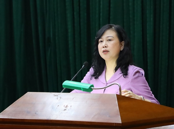 Bộ trưởng Bộ Y tế Đào Hồng Lan thông tin về tiến độ xử lý 2 dự án bệnh viện bị bỏ hoang tại Hà Nam.