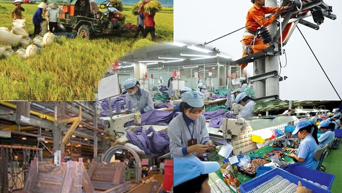 Thanh Hoá có 1.287 doanh nghiệp đăng ký thành lập mới trong 6 tháng đầu năm 2023.