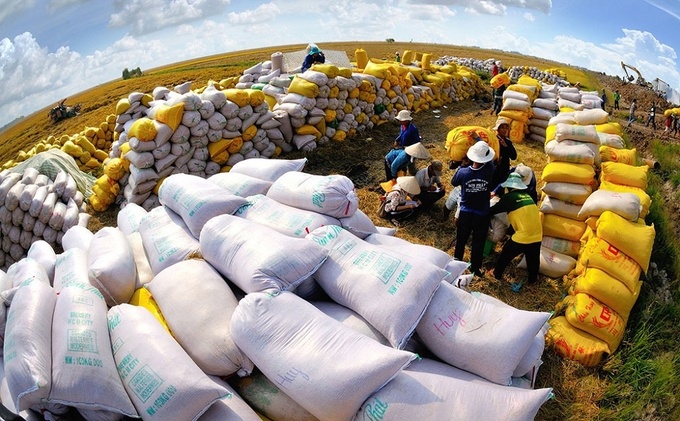 Xuất khẩu gạo của Việt Nam đạt kỷ lục 10 năm, thị trường lớn nhất là Philippines.