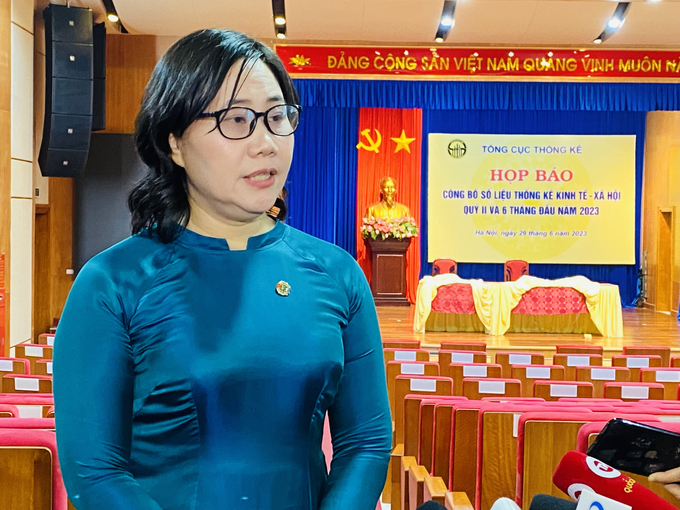 Bà Nguyễn Thị Hương, Tổng cục trưởng Tổng cục Thống kê.