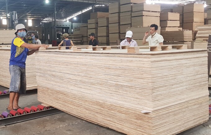 37 doanh nghiệp gỗ dán cứng Việt Nam có nguy cơ sẽ bị Mỹ áp thuế chống bán phá giá và chống trợ cấp. (Ảnh minh họa)
