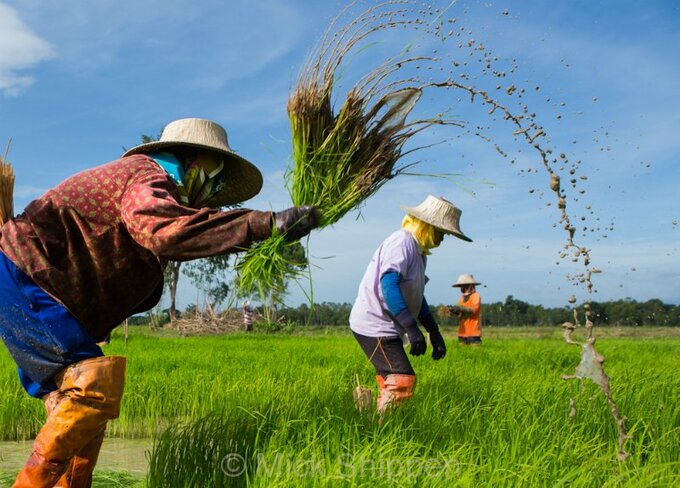 Thailand