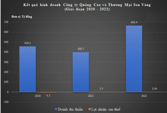 Kết quả kinh doanh giai đoạn 2020-2022 của Sen Vàng.