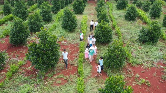 Đã có những đoàn du khách đầu tiên đăng ký đến thăm quan và trải nghiệm.