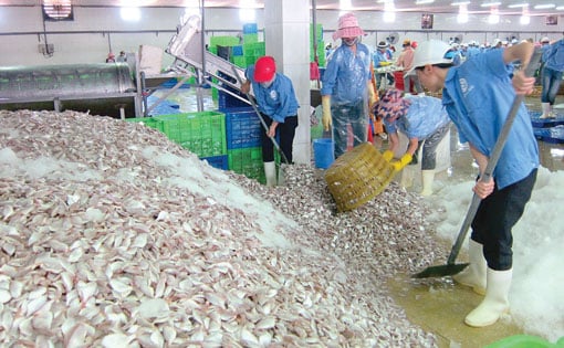 Sản phẩm bột cá trung bình của công ty Long Hải năm 2022 là 19.565 tấn sản phẩm/năm (vượt 3.565 tấn sản phẩm/năm).