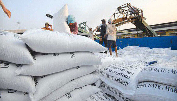 Giá gạo Việt cao kỷ lục, xuất khẩu gạo dự báo lập kỷ lục mới.