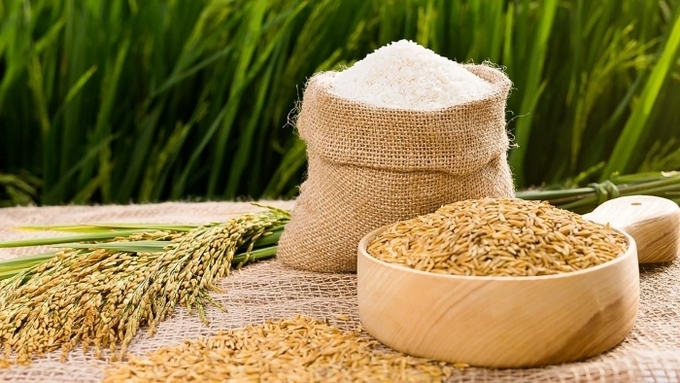 Xuất khẩu gạo của Việt Nam dự báo lập đỉnh 4,5 tỷ USD.