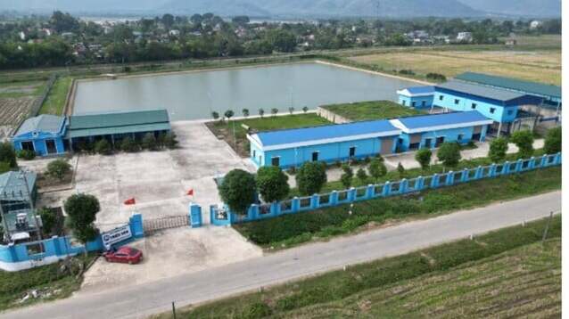 Nhà máy nước sạch Triệu Sơn tại xã Tân Ninh, huyện Triệu Sơn, công suất 9.800 m3/ngày/đêm của Công ty cổ phần dịch vụ nước sạch Triệu Sơn.