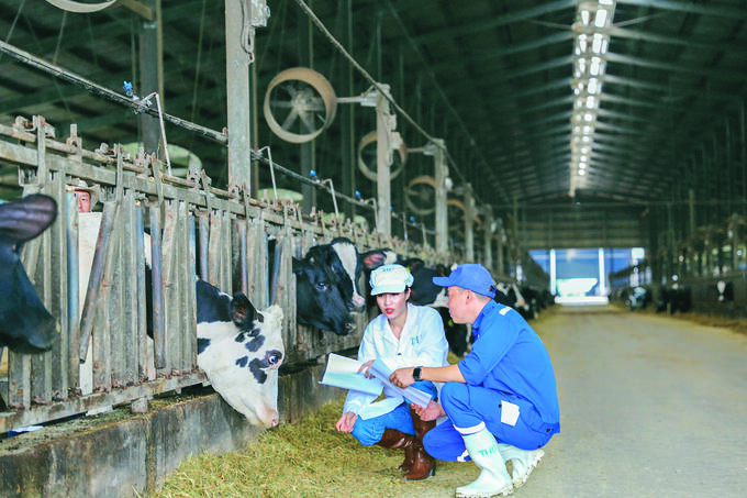 Với Dự án sữa tươi sạch TH true MILK, bà Thái Hương đã góp phần đảm bảo an ninh lương thực, dinh dưỡng tại Việt Nam.