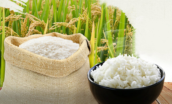 Philippines gia hạn cắt giảm thuế nhập khẩu gạo.