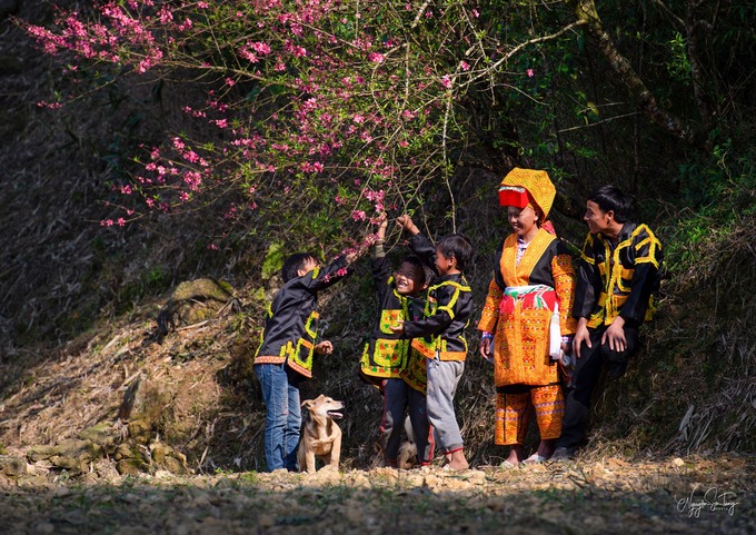 Trang phục của đồng bào Dao Lù Gang rực rỡ bởi sắc màu vàng cam nổi bật.(Ảnh NAG Nguyễn Sơn Tùng)
