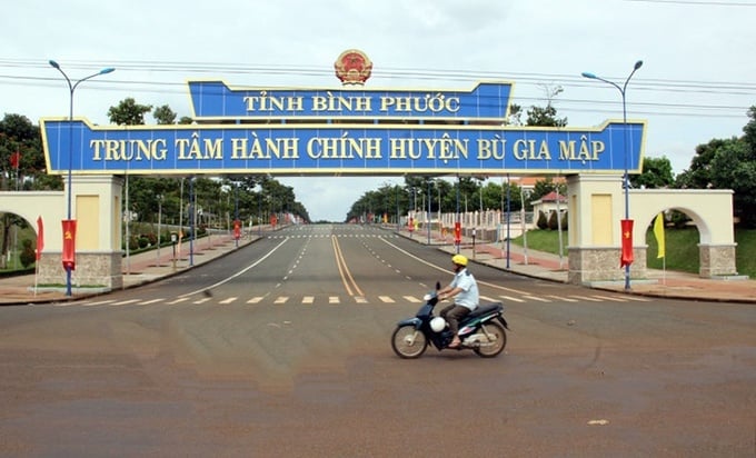 Ngày 21/3/2024, Bình Phước sẽ tổ chức đấu giá 126 lô đất huyện Bù Gia Mập.