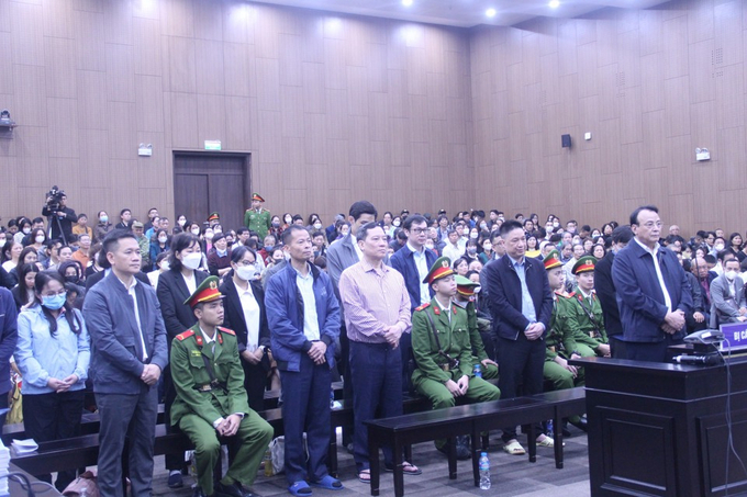 Chủ tịch Tân Hoàng Minh lĩnh 8 năm tù.