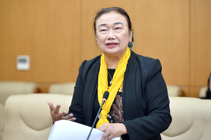 Bà Nguyễn Thị Cúc, Chủ tịch Hội Tư vấn Thuế Việt Nam, nguyên Phó tổng cục trưởng Tổng cục Thuế góp ý tại Hội thảo.