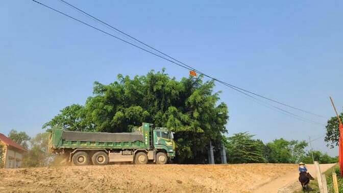 Tuyến đường đê hữu Sông Lèn đoạn qua xã Cầu Lộc (Hậu Lộc) với tải trọng cho phép là không quá 12 tấn. Ảnh chụp ngày 26/4/2024.