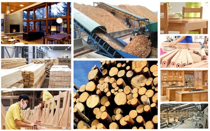 Xuất khẩu gỗ đạt hơn 4 tỷ USD trong 5 tháng.