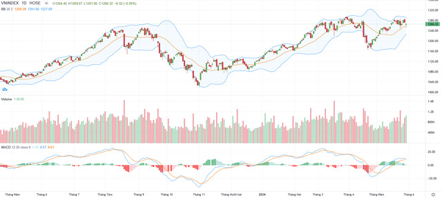 VNindex 3005