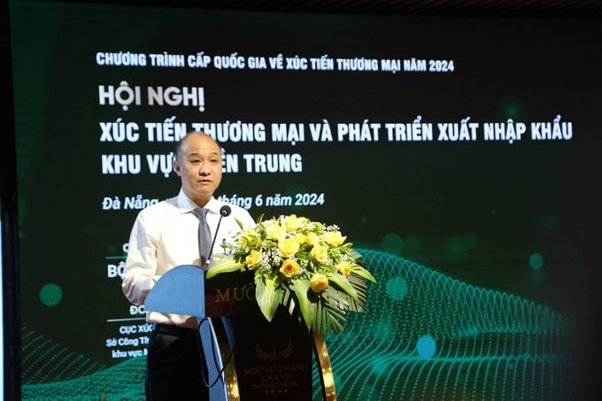 Ông  Lê Quang Nam - Phó Chủ tịch UBND thành phố Đà Nẵng phát biểu.