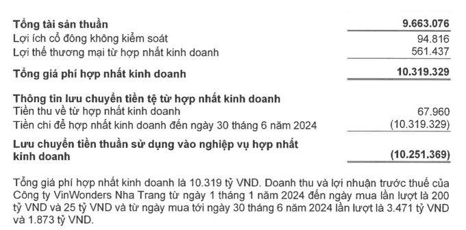 Thông tin về VinWonders Nha Trang trong báo cáo tài chính Vingroup. Ảnh chụp màn hình