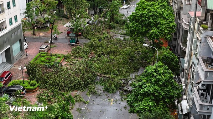 Nhiều tuyến phố tại Hà Nội tan hoang sau bão Yagi. (Ảnh: Vietnam+)