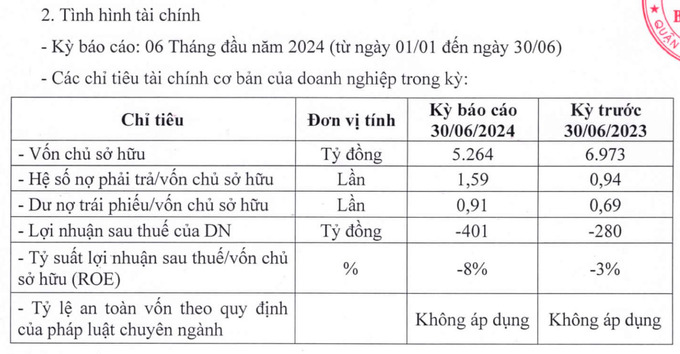 Kết quả kinh doanh 6 tháng đầu năm của CTCP Bông Sen (Bông Sen Corp).