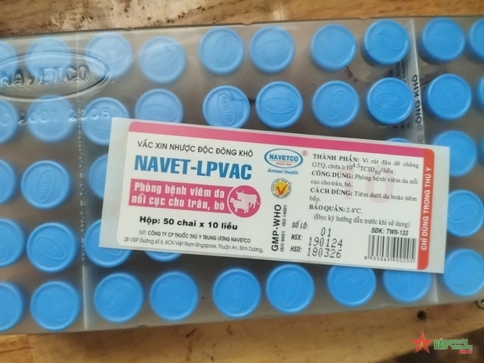 Vaccine Navet-LpVac gây bệnh tiêu chảy trên đàn bò sữa tại Lâm Đồng.