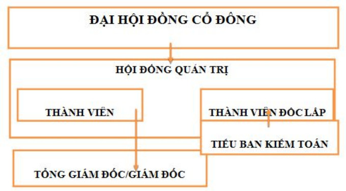 Hình 1: Mô hình Hội đồng quản trị 1 tầng