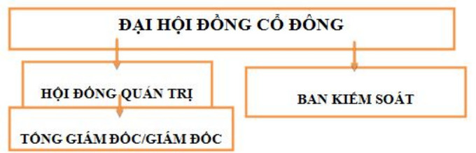 Hình 2: Mô hình Hội đồng quản trị 2 tầng