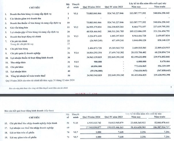 VRG: Quý 4/2024, lợi nhuận ròng giảm 86% so với cùng kỳ.