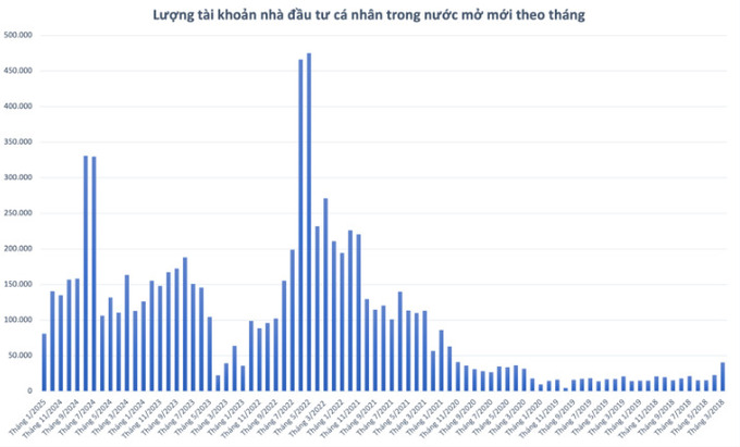 81.000 tài khoản chứng khoán mở mới trong tháng 1/2025.