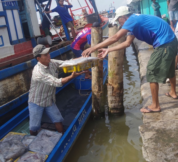 Cửa biển Khánh Hội (huyện U Minh, Cà Mau).