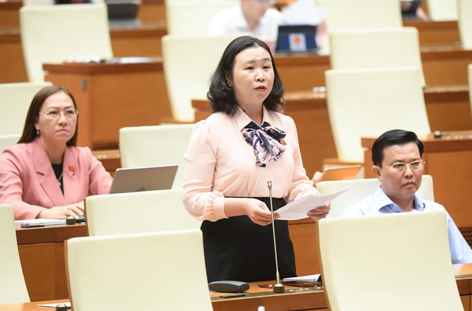 Đại biểu Lê Thị Song An (Long An).