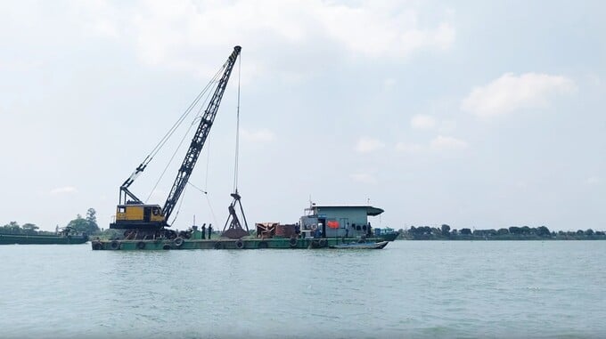 Tổng Công ty 36-CTCP được cấp phép khai thác cát trên sông Tiền thuộc xã Phú An, huyện Phú Tân.