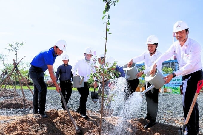 CBCNV Công ty tham gia trồng cây xanh
