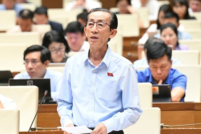 Đại biểu Trần Hoàng Ngân (Tp.HCM).
