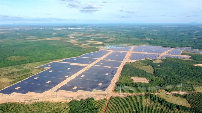 Chủ dự án điện mặt trời Lộc Ninh 4 bị cưỡng chế thuế hơn 441,9 tỷ đồng.