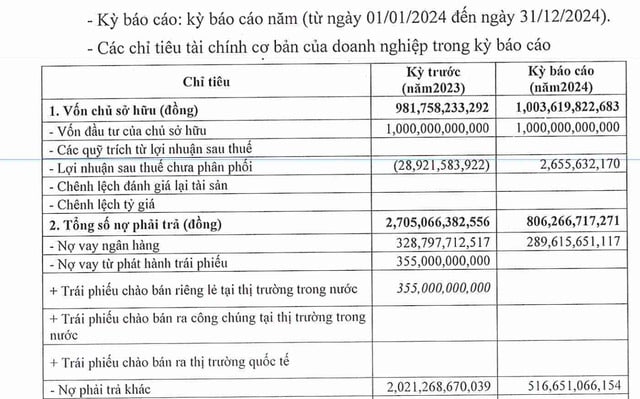 Dư nợ trái phiếu của Đầu tư DHA giảm từ 355 tỷ đồng đầu năm về 0 tỷ đồng cuối năm 2024.
