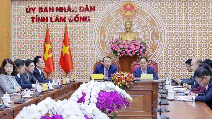 Chủ tịch UBND tỉnh Lâm Đồng Trần Hồng Thái làm việc với Tập đoàn Tân Hoàng Minh về đề xuất lập quy hoạch đầu tư dự án khoảng 4.320 ha tại Tp. Đà Lạt.
