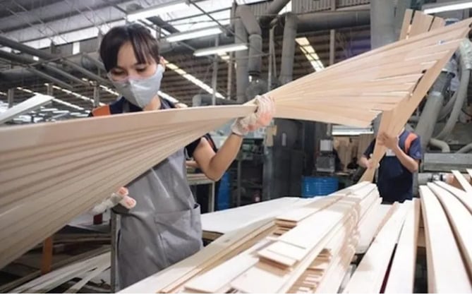 Hơn 130 doanh nghiệp gỗ dán Việt đối mặt nguy cơ áp thuế do Hoa Kỳ đề nghị điều tra.