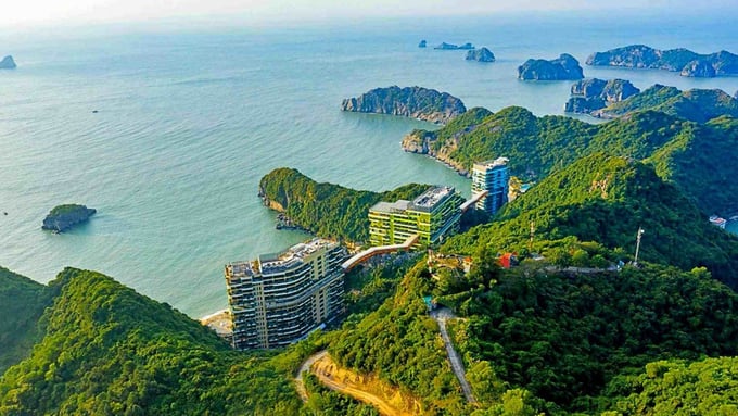 (Ảnh minh họa)