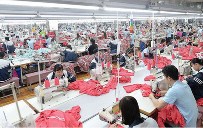 May Sông Hồng bị phạt và truy thu thuế gần 1,7 tỷ đồng.