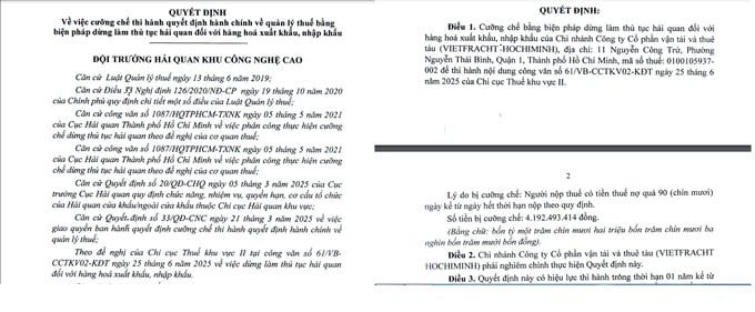 Chi nhánh Công ty cổ phần Vận tải và Thuê tàu (Vietfracht HoChiMinh) vừa bị Chi cục Hải quan Khu vực II áp dụng biện pháp cưỡng chế do nợ thuế gần 4,2 tỷ đồng.