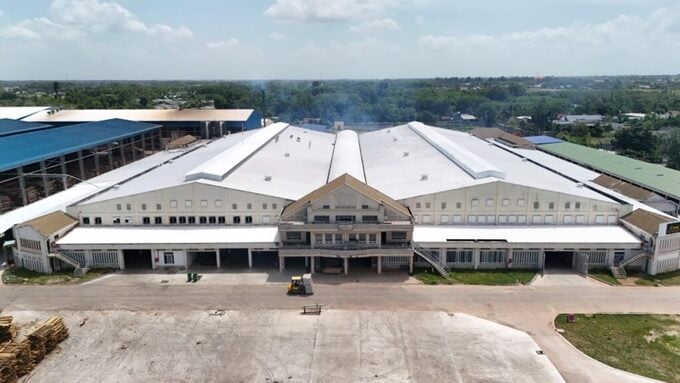 Gây ô nhiễm môi trường, Công ty TNHH KORNBEST Việt Nam bị phạt 770 triệu đồng.