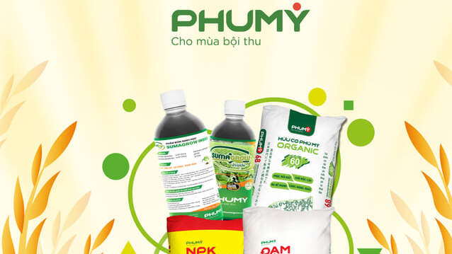 Bộ ba vàng của Phú Mỹ