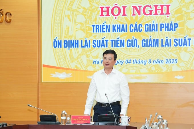 Phó thống đốc NHNN Phạm Thanh Hà.