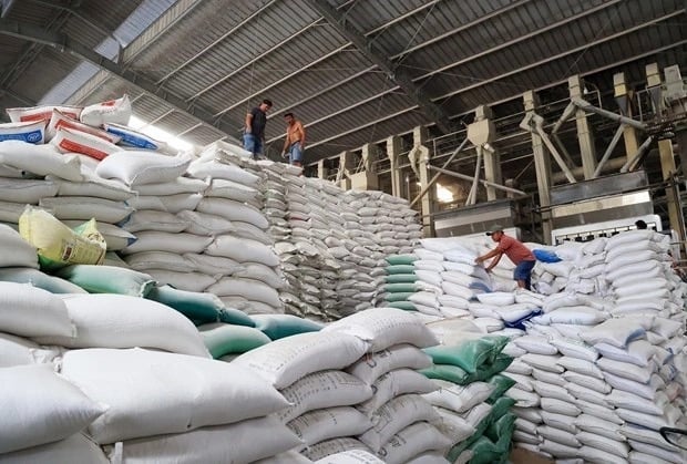 Philippines tạm dừng nhập khẩu gạo, VFA cầu cứu Bộ Công Thương.